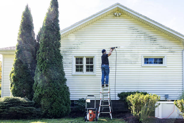 Best Graffiti Removal  in Roebling, NJ