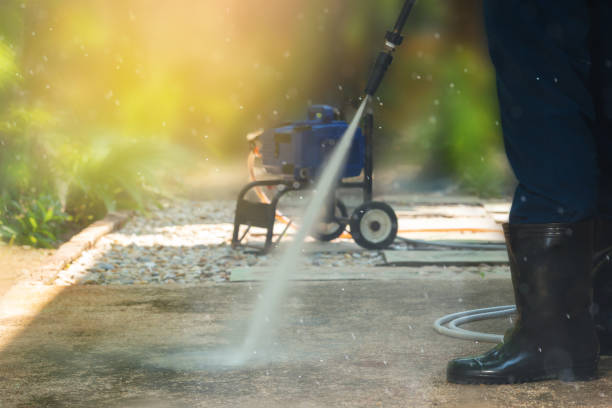 Best Solar Panel Cleaning  in Roebling, NJ